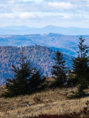 Ağaçlı güzel dağ manzarası
