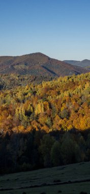 Karpatlar 'da güzel bir sonbahar manzarası