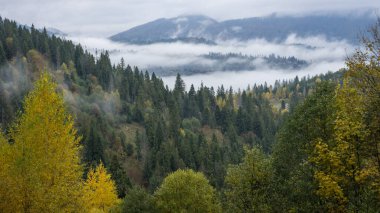 Dağlardaki dağ manzarası