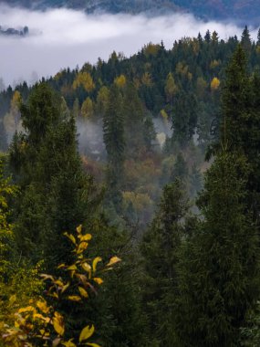 Karpatlar sonbaharda