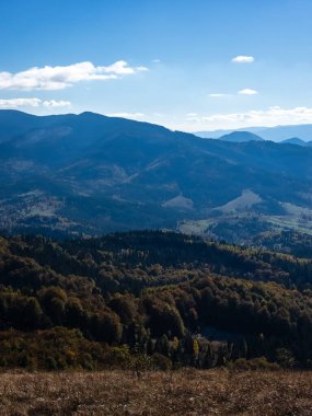 Slovakya 'daki güzel bir sonbahar dağ manzarasının dikey çekimi