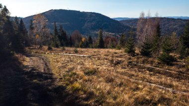 Karpatlar 'daki güzel sonbahar manzarası.