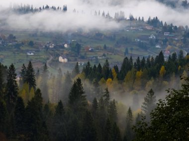 Renkli ağaçlar ve ormanlarla dolu sonbahar manzarası