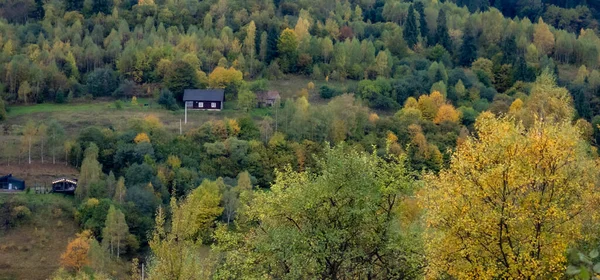 Ağaçlar ve dağlarla dolu güzel sonbahar manzarası
