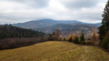 Ormandaki güzel sonbahar manzarası