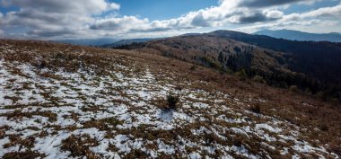 Karla kaplı ağaçlarla kaplı güzel kış manzarası