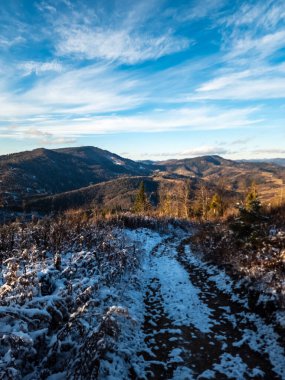 Perşembe Ormanı 'nda kış yürüyüşü. Almanya.