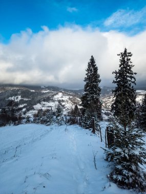Kış manzarası dağlarda karla kaplı ağaçlar