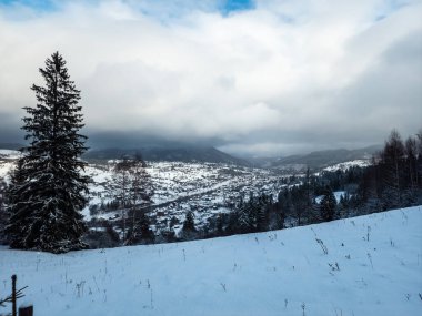 Kış dağı manzarası. Dağlardaki kış ormanı.
