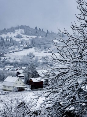 Ağaçlar ve karla kaplı kış manzarası