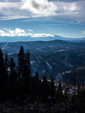 Kar ve ağaçlarla dolu güzel kış manzarası.