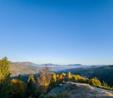 Renkli ağaçlar ve ormanlarla dolu sonbahar manzarası