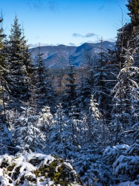 Czech Cumhuriyet Dağları 'ndaki kış manzarası