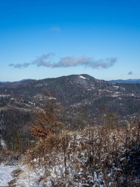 Kış Dağları üzerinde göster