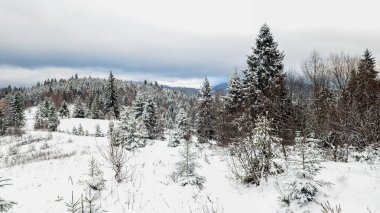 Karla kaplı ağaçlarla kaplı güzel kış manzarası