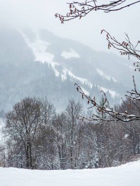 Kar- dağlarla kaplı kış ormanı