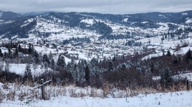 Karla kaplı ağaçlarla kaplı güzel kış manzarası