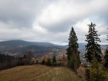 Dağdaki ormanın güzel manzarası.