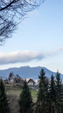 Romanya 'daki Karpatlar' ın güzel kış manzarası.
