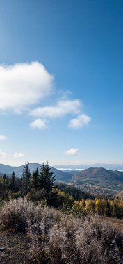 Dağlardaki bir ormanın güzel bir görüntüsü