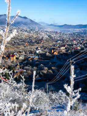 Karla kaplı ağaçlarla kaplı güzel kış manzarası