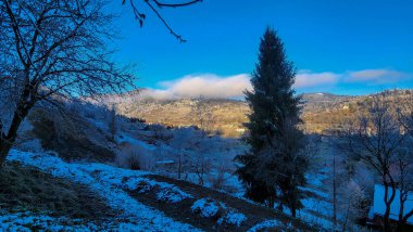 Doğanın güzel manzarası