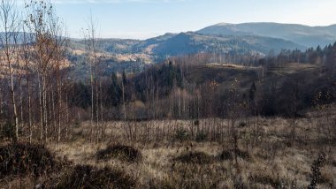 dağ sonbahar günü. İlk sonbahar ormanı