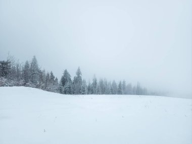 Karla kaplı ağaçlarla kaplı kış manzarası