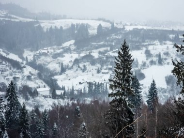 Karlı kış manzarası