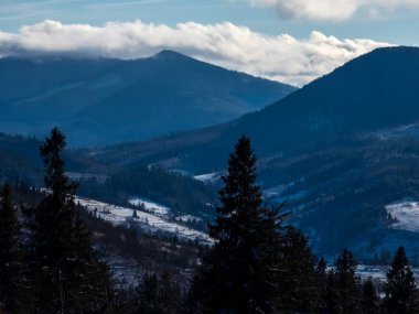 Ormandaki Karpat Dağları 'nda kış manzarası.