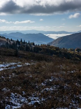 Karpat Dağları'nda güzel sonbahar manzarası