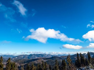 Kış dağları köknar ağaçları ve karla kaplı.