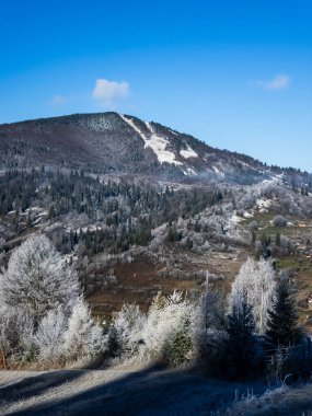 Ağaçlar ve karla kaplı güzel kış manzarası
