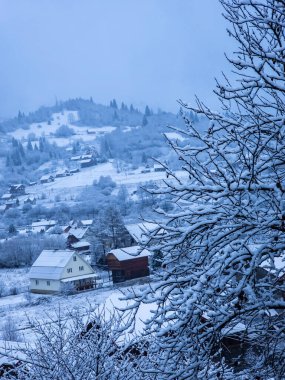 Karla kaplı ağaçlarla kaplı kış manzarası