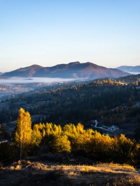 Sabah Karpatlar 'da sonbahar dağ manzarası.