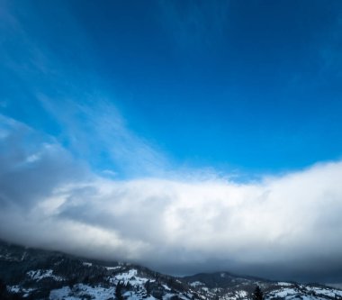 Karla kaplı ağaçlarla kaplı güzel kış manzarası