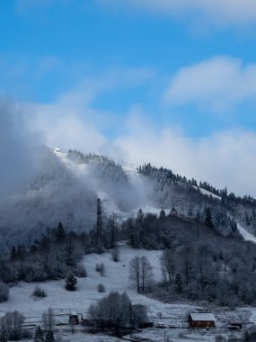 Karla kaplı ağaçlarla kaplı kış manzarası