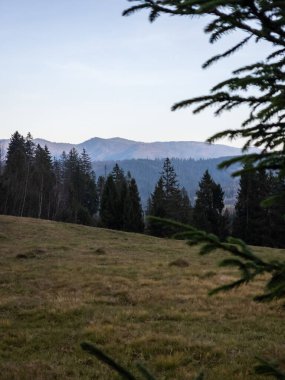 Dağlı güzel sonbahar manzarası