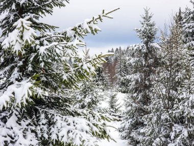 Alplerin dağlarında kış, Avusturalya