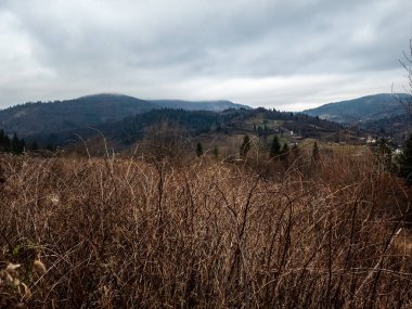 Dağlarda bulutlu bir arka planı olan güzel bir orman görüntüsü.