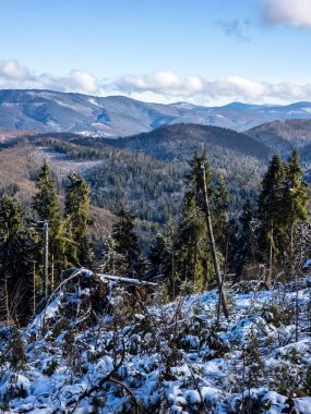 Karla kaplı ağaçlarla kaplı güzel kış manzarası