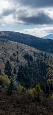 Dağlardaki güzel bir ağaç görüntüsü.