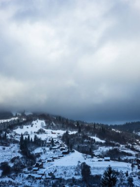 Ormanda karla kaplı ağaçlar
