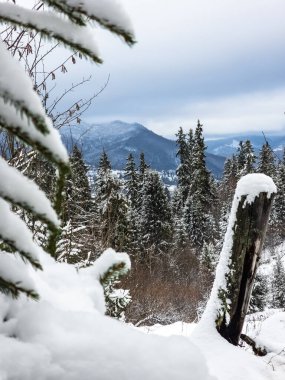 Karlı güzel kış manzarası