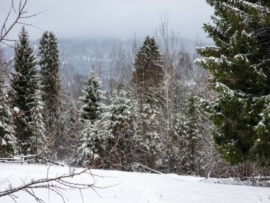 Karda kış dağı manzarası