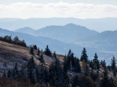 Doğanın güzel manzarası