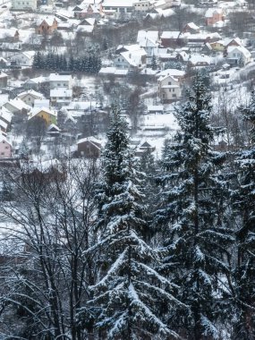 Karla kaplı ağaçlarla kaplı güzel kış manzarası