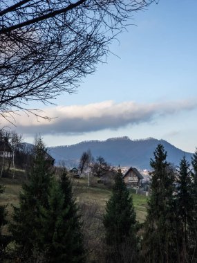 Dağların manzarası ve sisin içindeki ağaçlar.