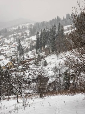 Dağlarda karlı ormanlar, Karpatlar, Ukrayna