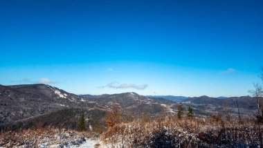 Karla kaplı ağaçlarla kaplı güzel kış manzarası